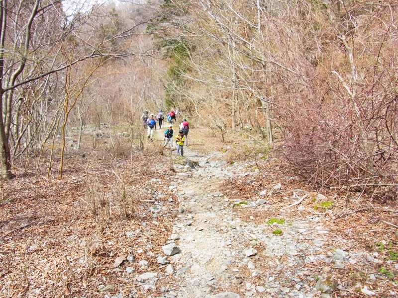 b0190242_17301441.jpg