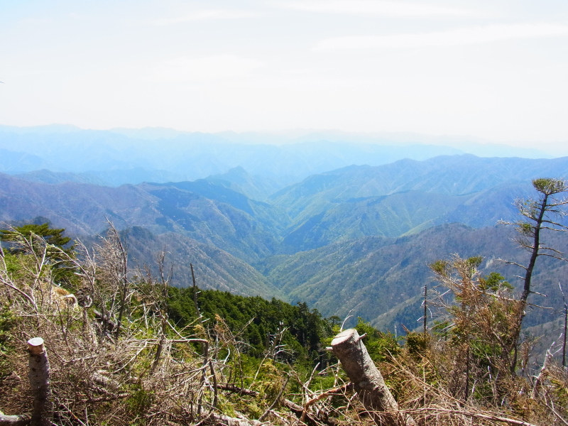 b0190242_17321184.jpg