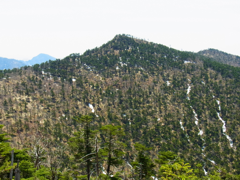 b0190242_17335722.jpg