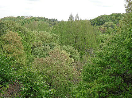 f0094843_155529.jpg