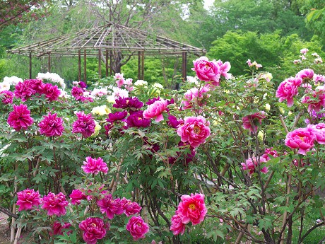 c0057946_1923979.jpg