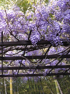 c0171349_8413717.jpg