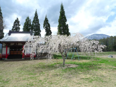 c0206051_2145344.jpg