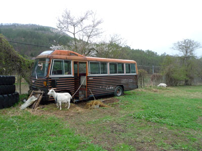 c0206051_224108.jpg