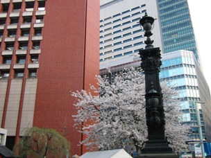 e0218455_23304245.jpg