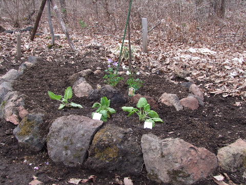 e0088260_22244710.jpg