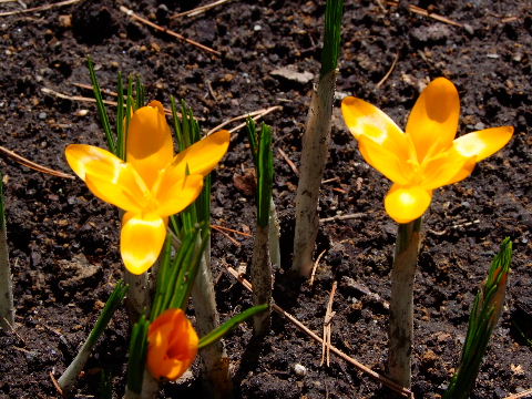 e0088260_232140100.jpg