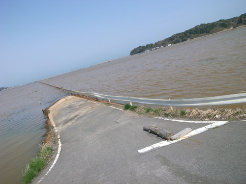 f0134963_14122820.jpg