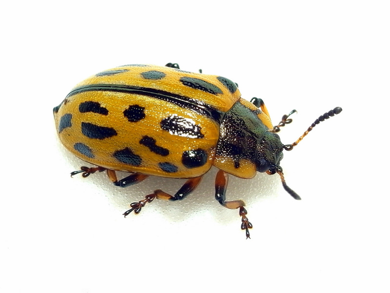b0130166_20474947.jpg