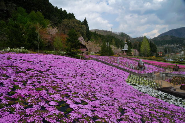 b0223668_7134520.jpg
