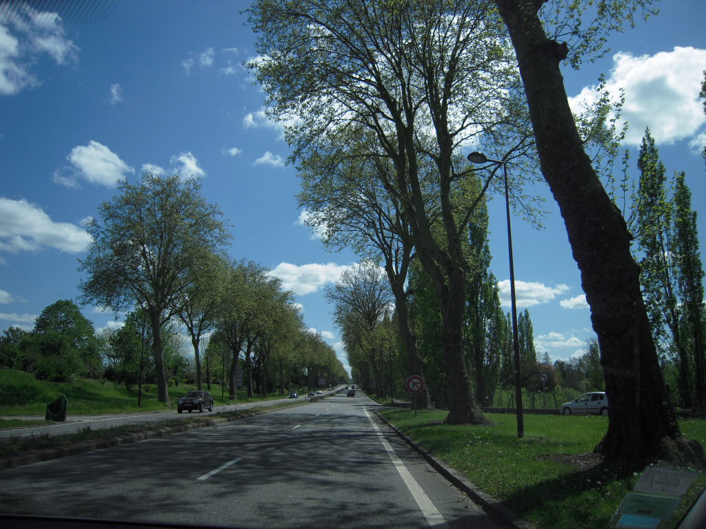 b0169771_18232165.jpg