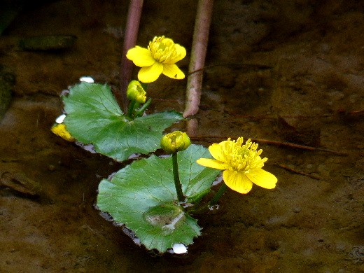 d0084473_2103268.jpg