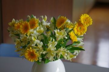 f0054677_7434456.jpg