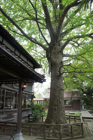 c0163878_1582811.jpg