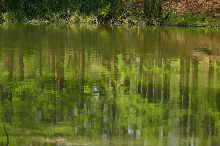 f0108478_1510393.jpg