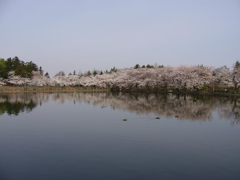 c0198781_7225465.jpg