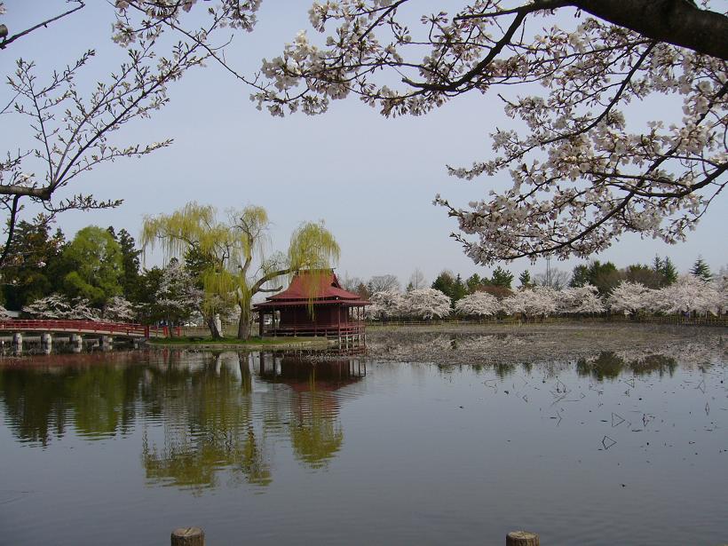c0198781_725760.jpg
