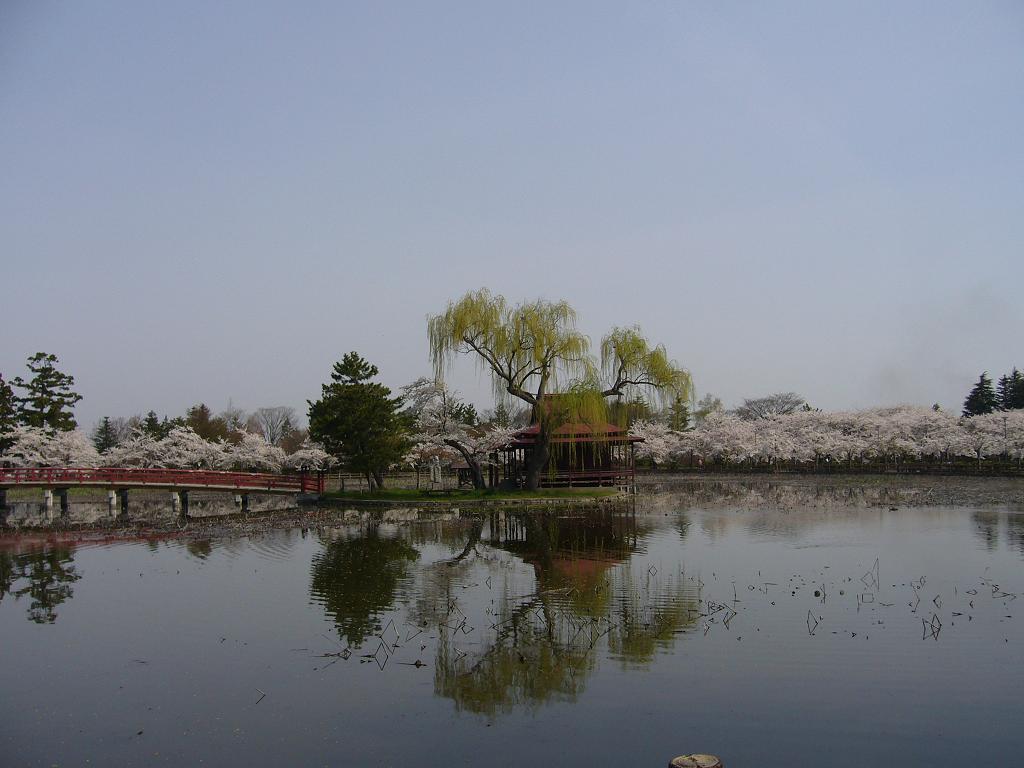 c0198781_7264490.jpg