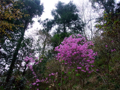 a0043982_18481948.jpg