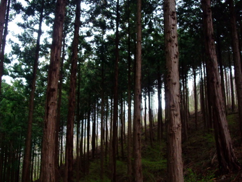 a0043982_18524778.jpg