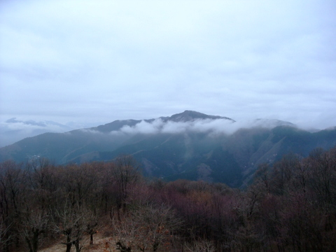 a0043982_19271544.jpg