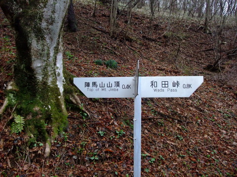 a0043982_1927534.jpg