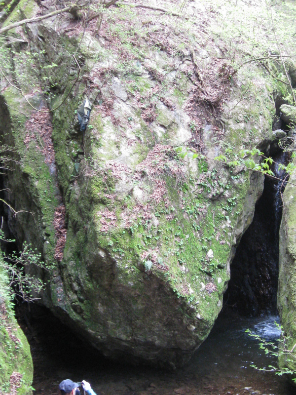 c0138182_10123553.jpg