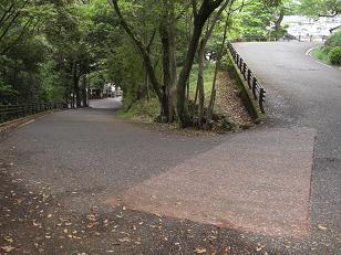 b0159585_14441246.jpg
