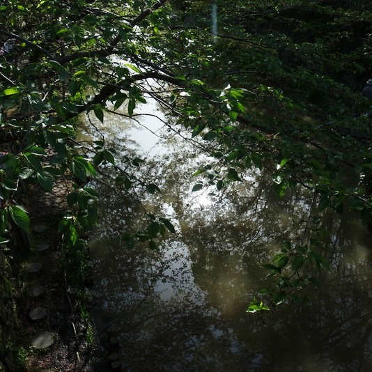 c0059485_2152063.jpg