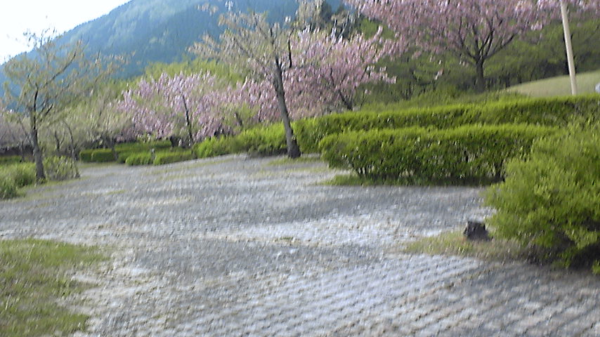 b0245886_064484.jpg