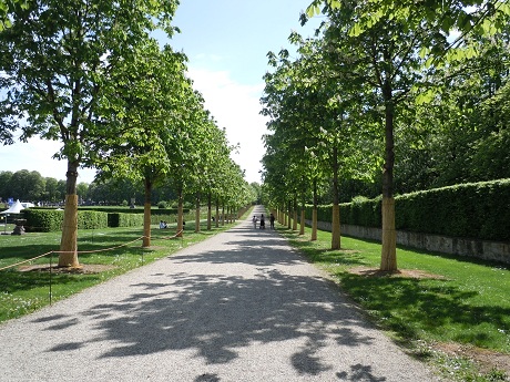 e0255187_3165362.jpg