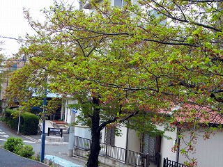 e0121589_21523414.jpg