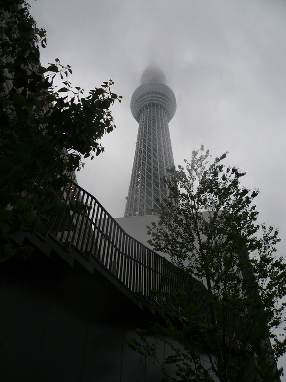 a0147890_2138459.jpg