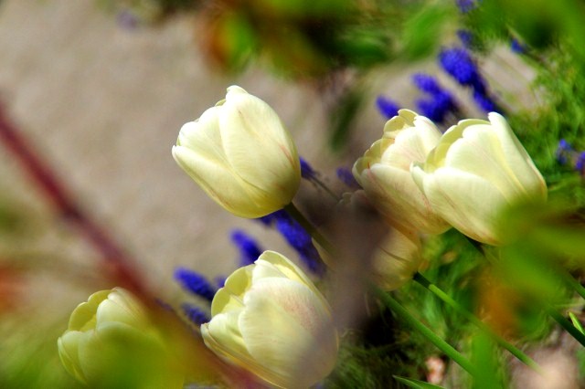 c0246290_10354467.jpg