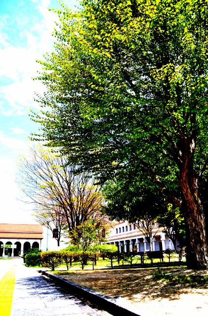 c0246290_10382621.jpg