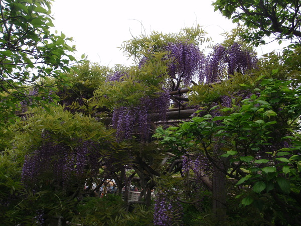 d0034291_911728.jpg