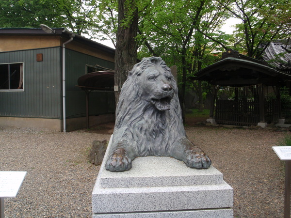 d0034291_9141973.jpg