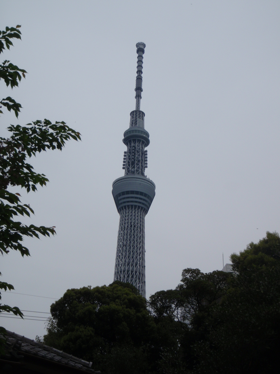 d0034291_928455.jpg