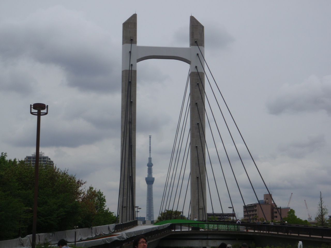 d0034291_985676.jpg