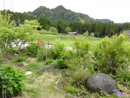 f0209394_12365687.jpg