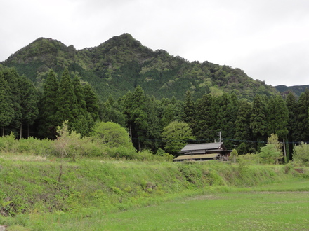 f0209394_1239342.jpg