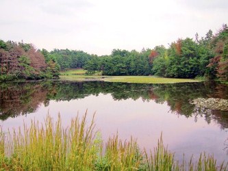 c0173697_12124585.jpg