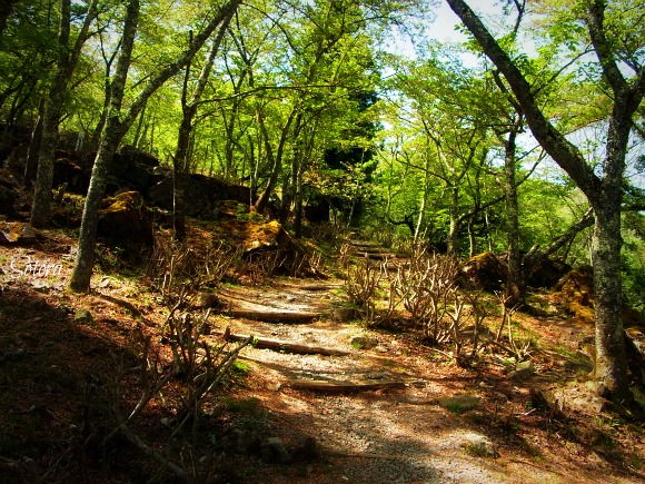 e0248598_1951817.jpg
