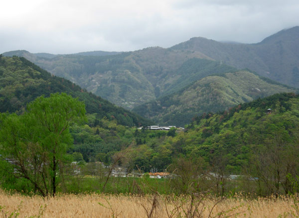 e0269400_14481697.jpg