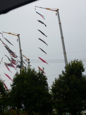 c0024502_18582266.jpg