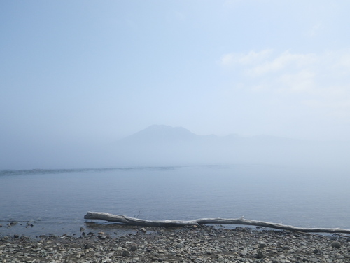 b0110205_1555527.jpg