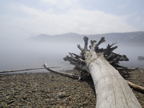 b0110205_1562887.jpg