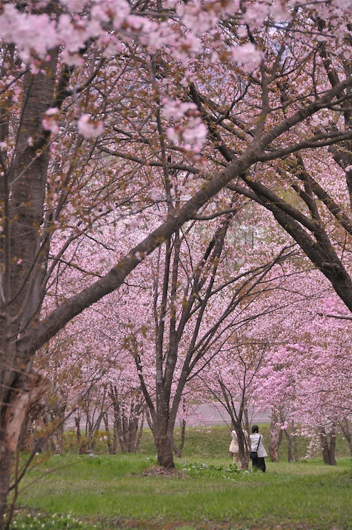 b0150312_22354919.jpg