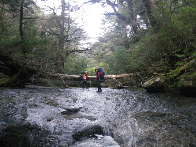 d0006512_021853.jpg