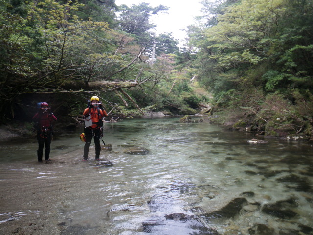 d0006512_0224660.jpg